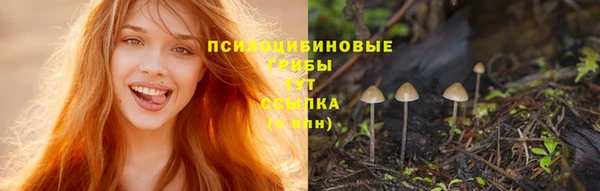 mix Пестово