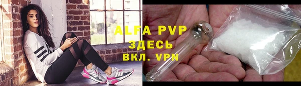 спайс Пересвет