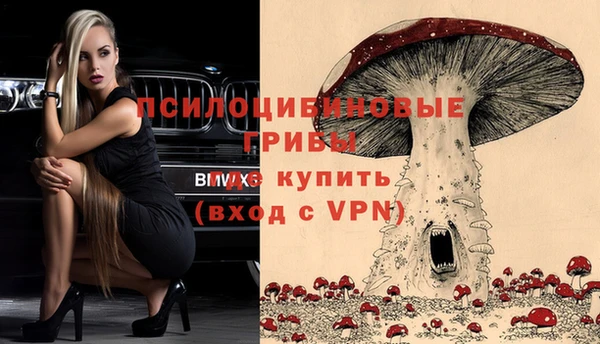 спайс Пересвет