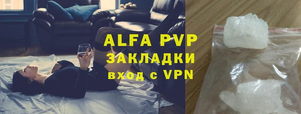 спайс Пересвет