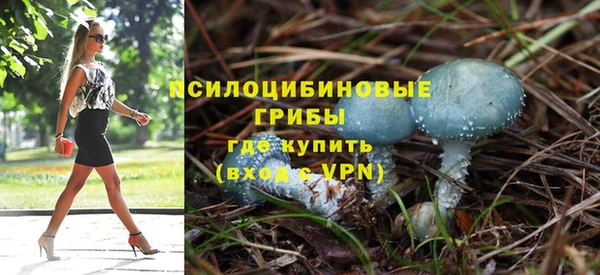 ALPHA PVP Переславль-Залесский
