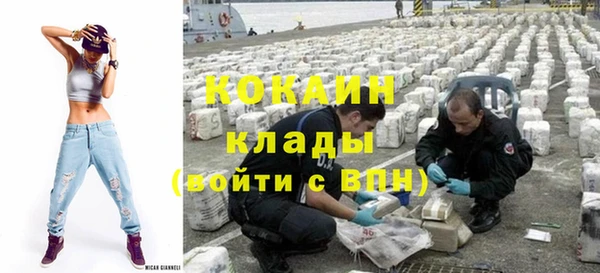 спайс Пересвет
